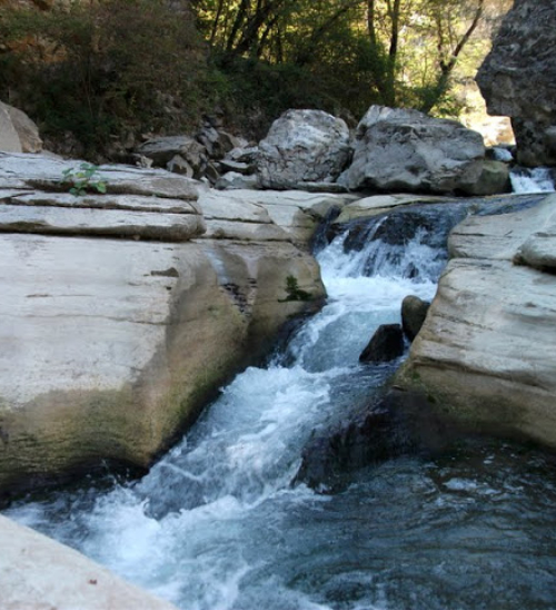 La natura della Valle dell’Orta