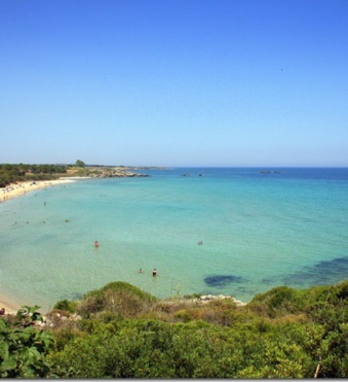 Spiaggia Pineta del Gelsomineto, mare cristallino e relax