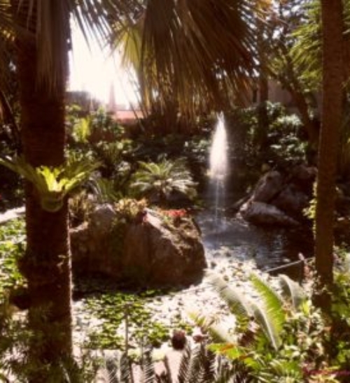 La Mortella, i Giardini d’inverno