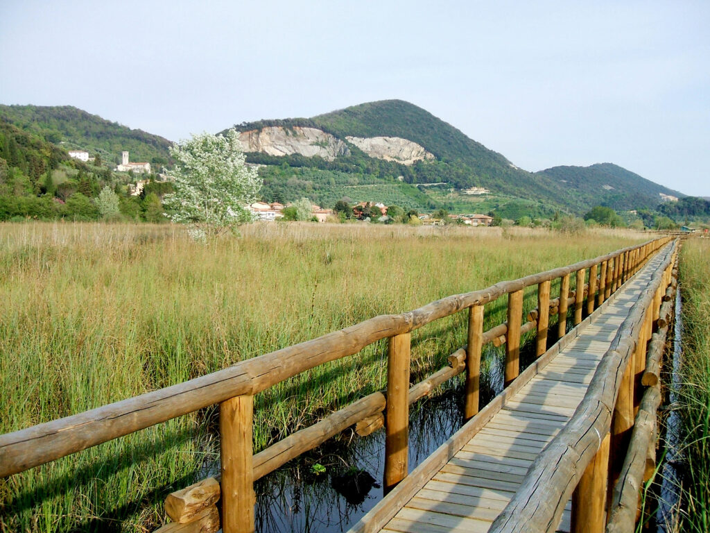 Palude Parco di San Rossore Massaciuccoli