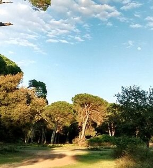 Parco di San Rossore, tra natura selvaggia e terme