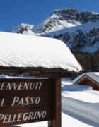 Passo del Tonale, sleddog, neve ed escursioni in bici