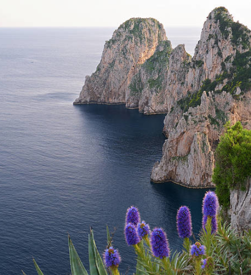 Visitare Capri in primavera: una tranquilla isola in fiore