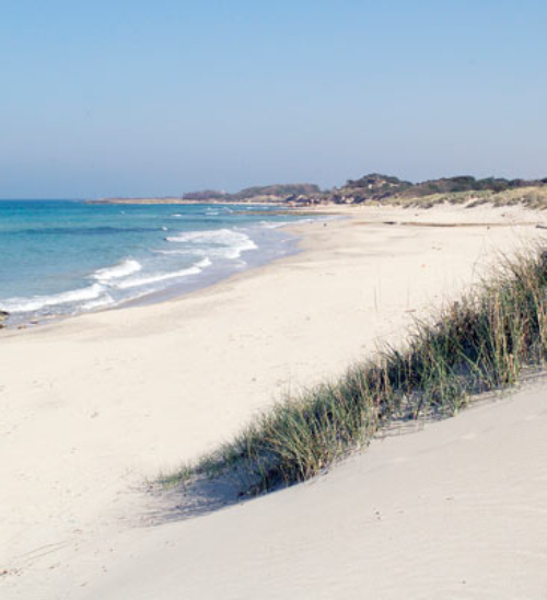 Riserva Marina Torre Guaceto, un’oasi tra terra e mare