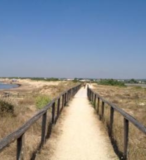 Vacanza nel Salento: relax in masseria