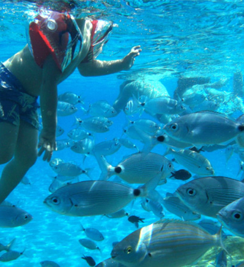 Immersioni Sardegna. Area Marina Protetta Capo Carbonara