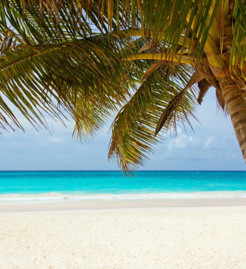 Inverno, è tempo di una crociera ai Caraibi