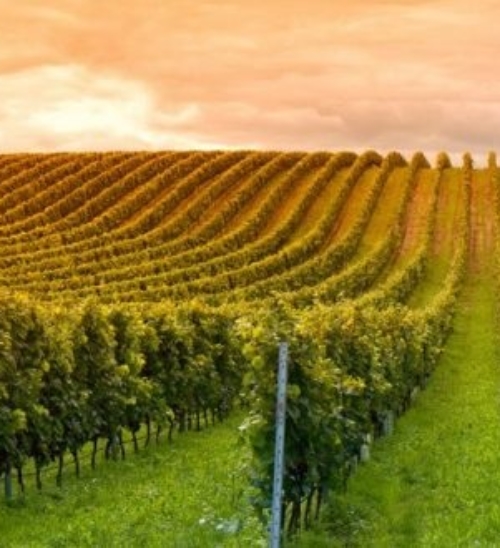 Cosa vedere in Franciacorta, la terra delle bollicine