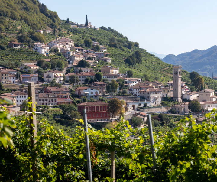 Escursionismo Veneto: nel Trevigiano sul Cammino delle Colline del Prosecco